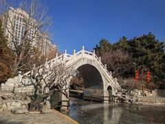 -团结湖公园
