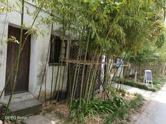 -田园东方蜜桃村的田野营地