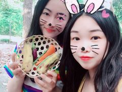 -清迈夜间动物园