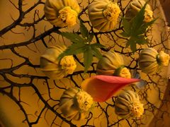 云腿野菜石榴包-解香楼(八盘岭路店)