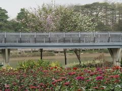 -怡海公园(桂城街道)