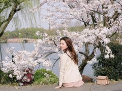 -西湖外事游船(花港观鱼码头)