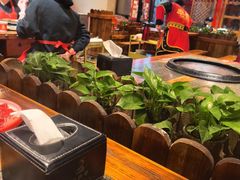 -巴将军·非遗老字号火锅(解放碑店)