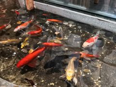 -醉霖生态餐厅(交大店)