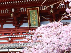 -浅草寺