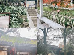 -乾园.魏庐湖景餐厅(花港店)
