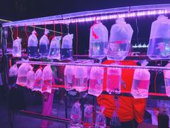 -华声天桥民俗文化园