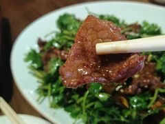 凉拌牛肉-金苑酒家·客家菜·广东老字号(万象店)