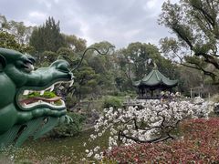 -申粤轩酒楼·三十年粤菜经典(丁香花园店)