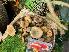-菌彩云南野生菌火锅(呈贡七彩云南第壹城店)