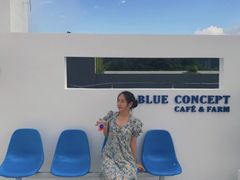 -Blue Concept Cafe&Farm·關於藍