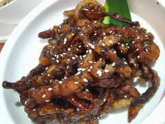 -枣子树·素食餐厅(普陀山店)