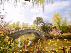 -南汇桃花村