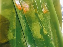 -大龙辣火锅·龙虾·烧烤(湖滨新天地店)