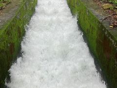 -广州市石门国家森林公园