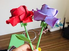 -武汉大学图书馆·文理学部总馆