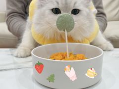 -仁普宠物诊所(住友昌盛新苑店)