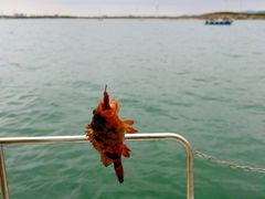 -那香海钻石沙滩浴场
