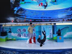 -成都浩海立方海洋公园