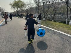 -羊山湖公园