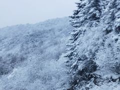 -太子岭滑雪场