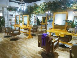 -明洞造型精品烫染