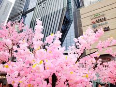 -首开·龙湖成都西宸天街