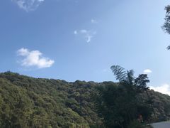 -龙岩森林水乡景区