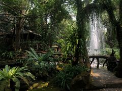 -绿光森林餐厅