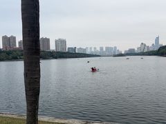 -南宁南湖公园