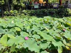 -广州莲花山旅游区