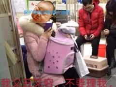 -芭比堂宠物医院·全科爱猫医院·仁德分院
