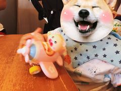 -海底捞大排档火锅(悦荟广场店)