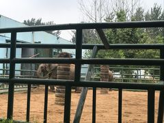 -秦皇岛野生动物园