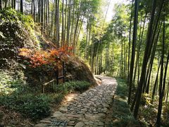 -径山寺