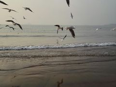 -老味道民宿(栈桥店)