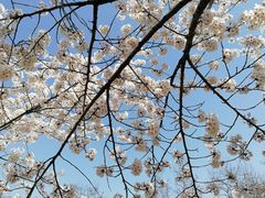 -大连植物园