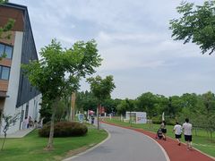 -上海长兴岛郊野公园