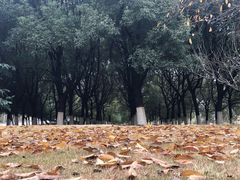 -江南大学(蠡湖校区)