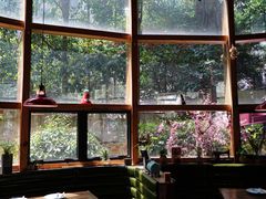 -NLFS1983咖啡花园餐厅(锦桂店)