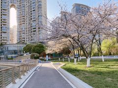 -西北湖绿化广场