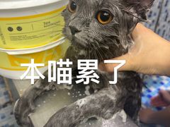 -FAELING PETS美天灵宠物(富力广场店)