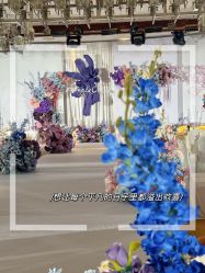 -浙江1+1主持人工作室