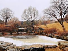 -北京西山国家森林公园