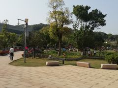 -牛岗山公园
