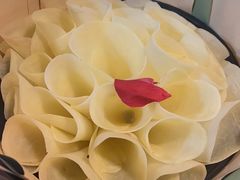 -蜀家渝重庆火锅(南屏街店)