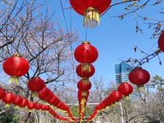 -无锡蠡湖国家湿地公园-蠡园