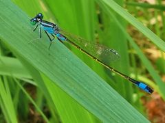 -国家植物园南园