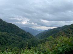 -牛背梁国家森林公园