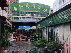 -曲阳花鸟市场(曲阳路店)